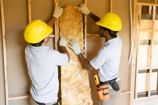 Best Attic Insulation Installation  in Soddy Daisy, TN